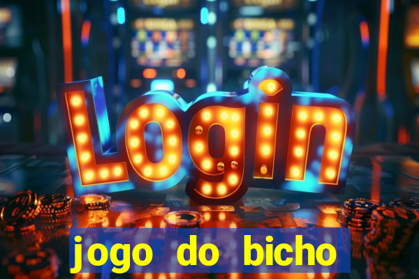 jogo do bicho crash bingo